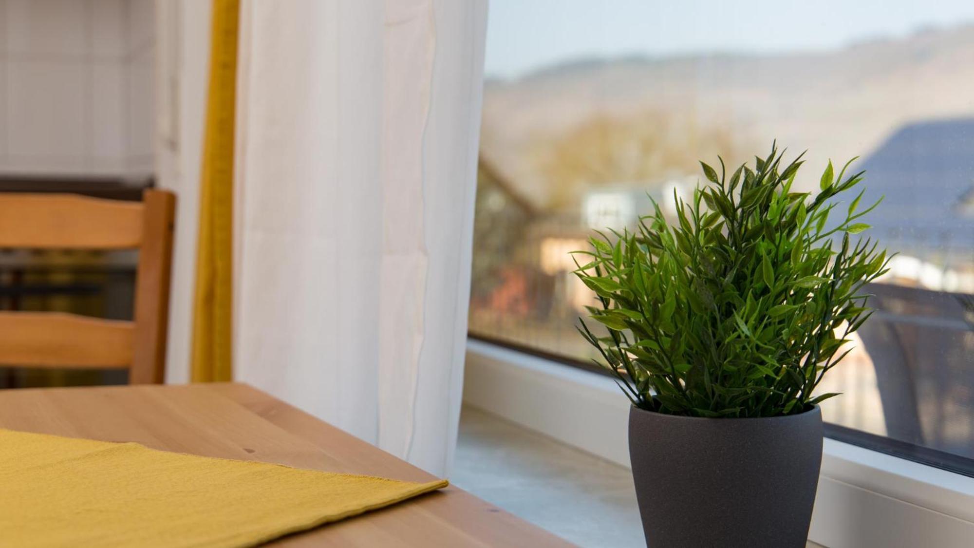 Apartment Weingut Roth Kindel